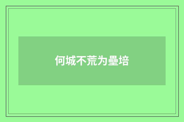 何城不荒为壘培