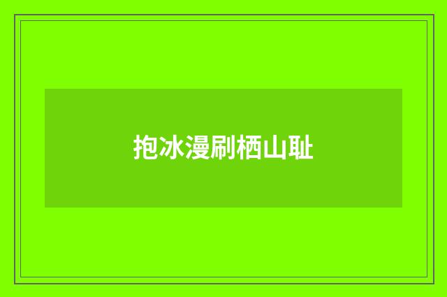 抱冰漫刷栖山耻