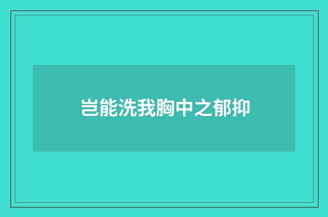 岂能洗我胸中之郁抑