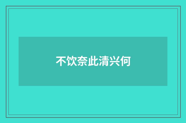 不饮奈此清兴何