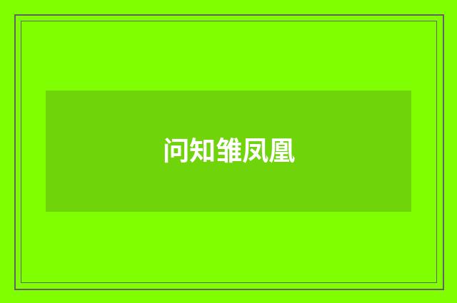 问知雏凤凰