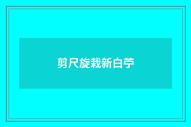 剪尺旋栽新白苧