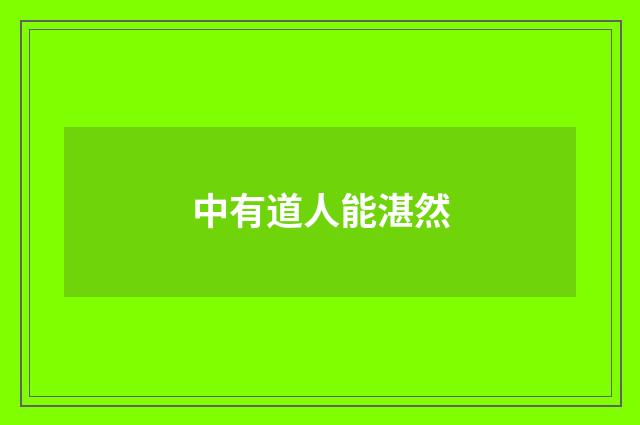 中有道人能湛然