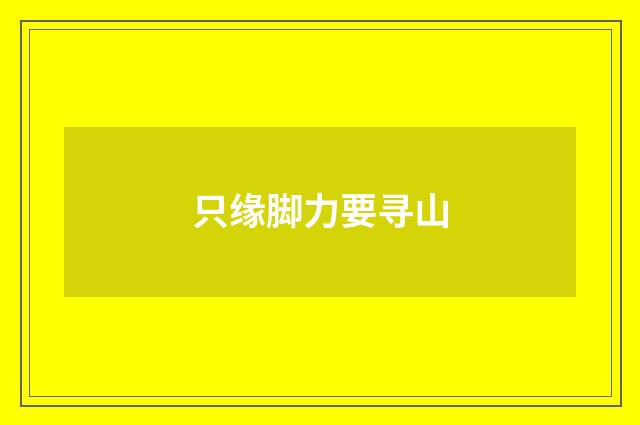 只缘脚力要寻山