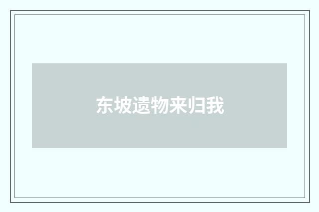 东坡遗物来归我