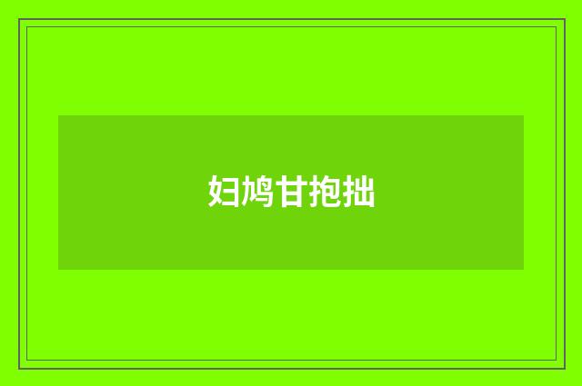 妇鸠甘抱拙