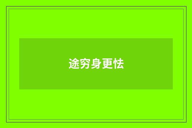途穷身更怯