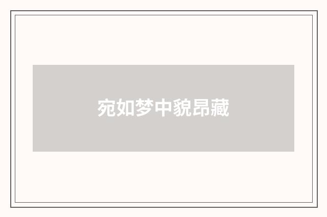 宛如梦中貌昂藏