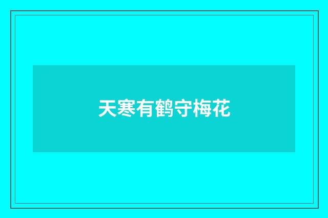 天寒有鹤守梅花