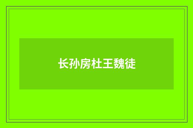长孙房杜王魏徒