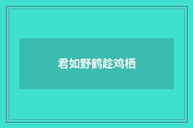 君如野鹤趁鸡栖