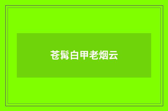 苍髯白甲老烟云