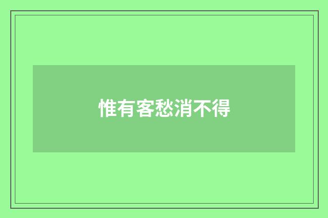惟有客愁消不得