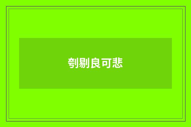 刳剔良可悲