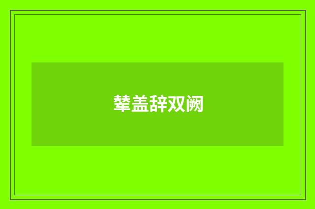 辇盖辞双阙