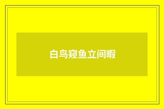 白鸟窥鱼立间暇