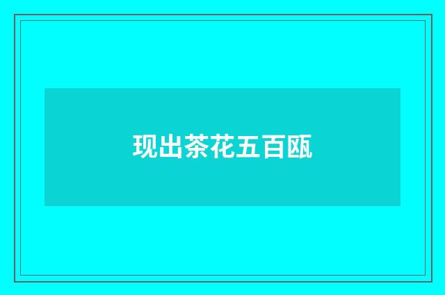 现出茶花五百瓯