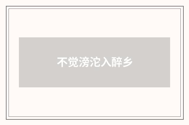 不觉滂沱入醉乡