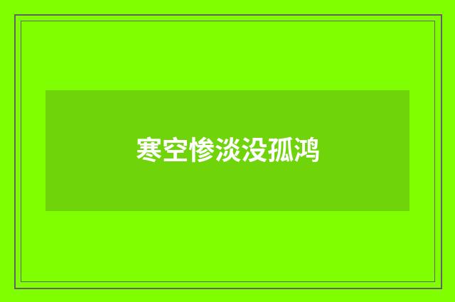 寒空惨淡没孤鸿