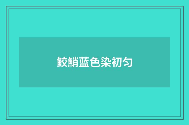 鲛鮹蓝色染初匀
