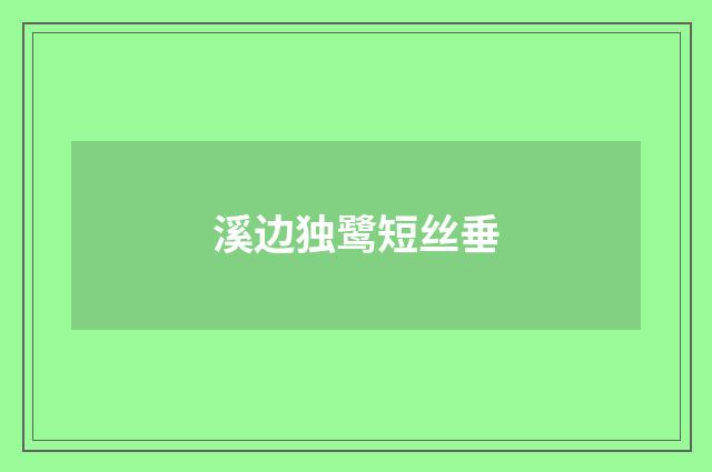 溪边独鹭短丝垂