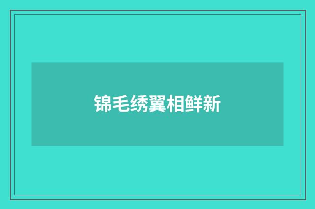 锦毛绣翼相鲜新