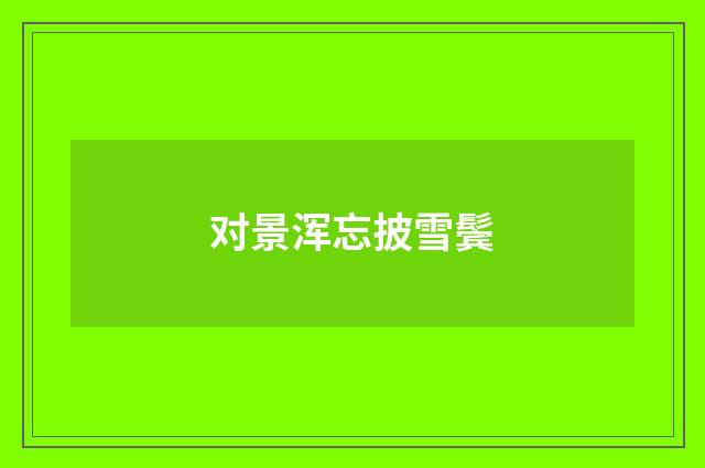 对景浑忘披雪鬓