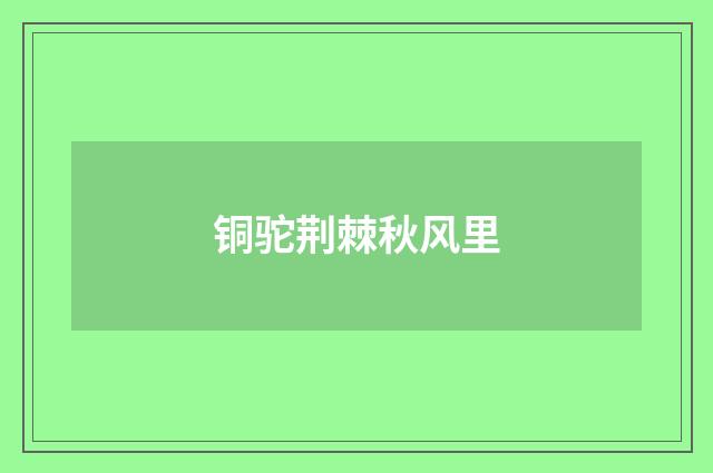 铜驼荆棘秋风里