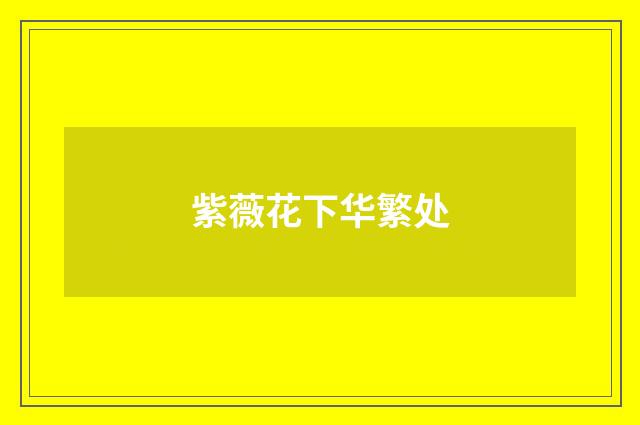 紫薇花下华繁处