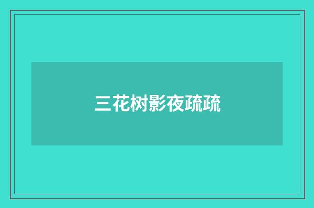 三花树影夜疏疏