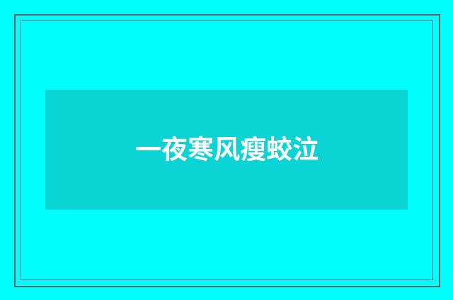 一夜寒风瘦蛟泣