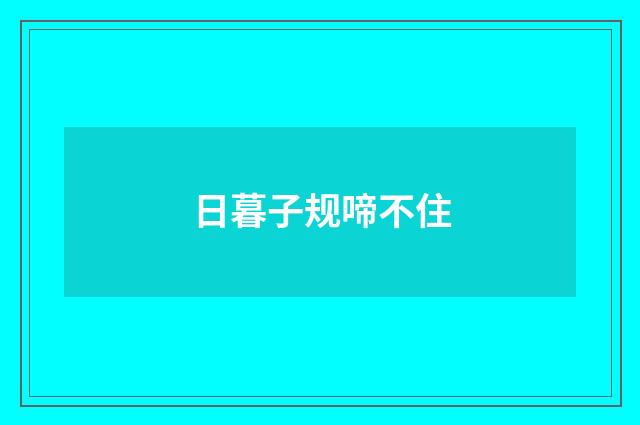 日暮子规啼不住