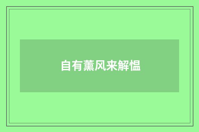 自有薰风来解愠