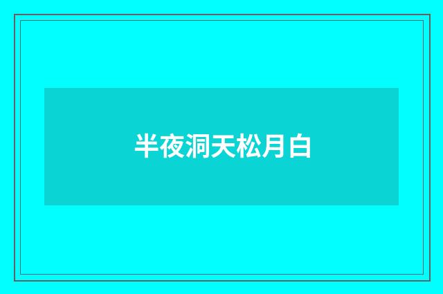半夜洞天松月白