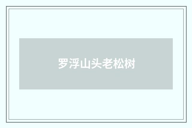 罗浮山头老松树