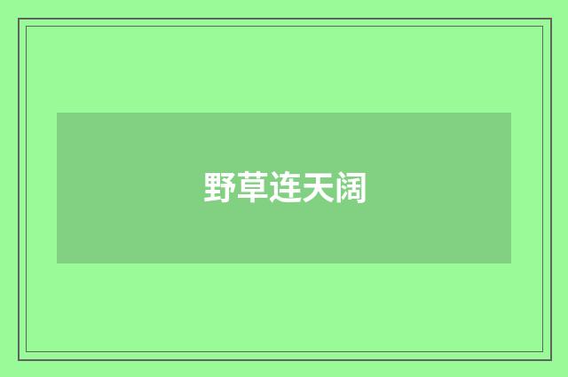 野草连天阔