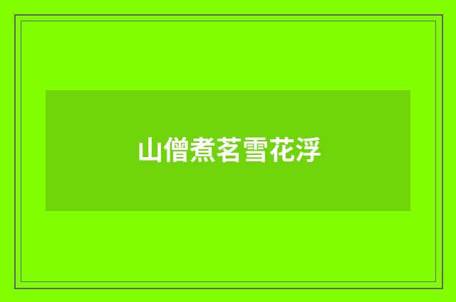 山僧煮茗雪花浮