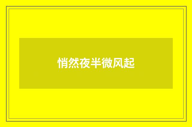 悄然夜半微风起