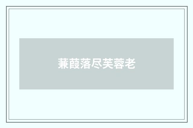 蒹葭落尽芙蓉老