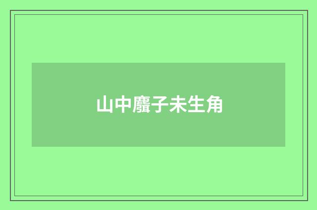 山中麛子未生角