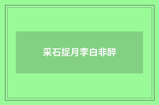 采石捉月李白非醉