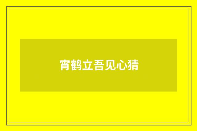 宵鹤立吾见心猜
