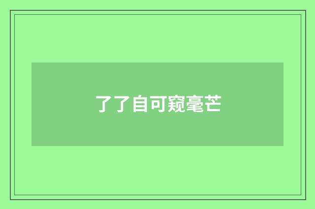 了了自可窥毫芒
