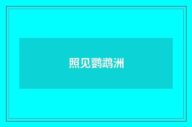 照见鹦鹉洲