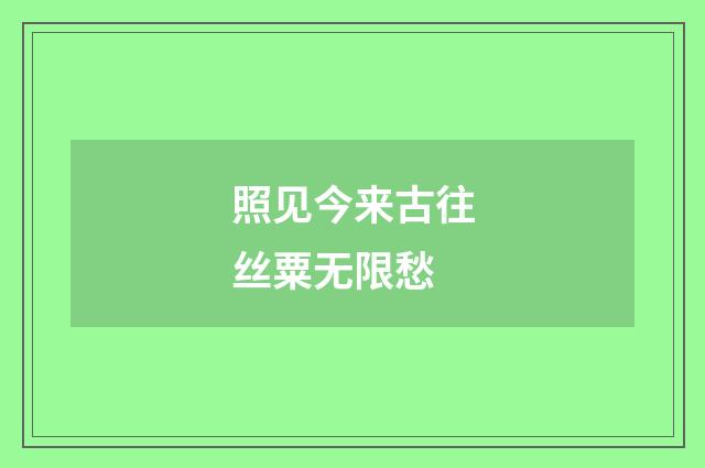照见今来古往丝粟无限愁