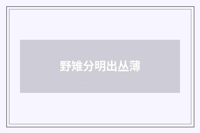 野雉分明出丛薄