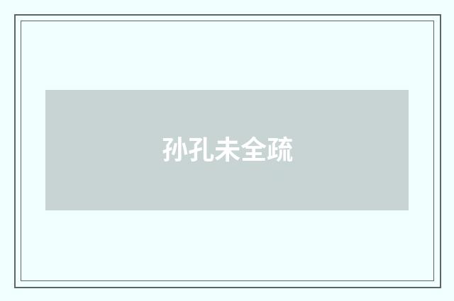 孙孔未全疏