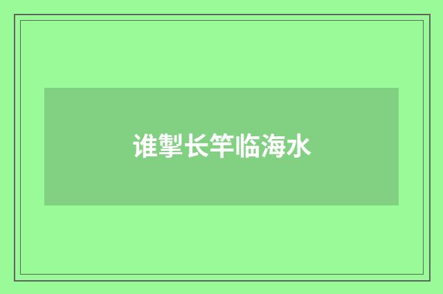 谁掣长竿临海水