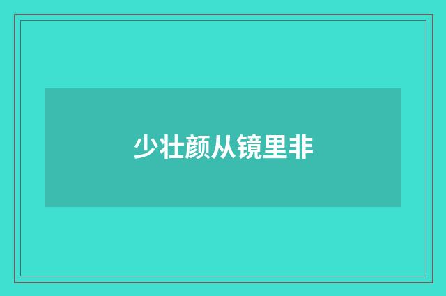 少壮颜从镜里非