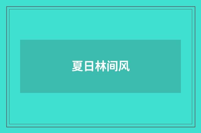 夏日林间风